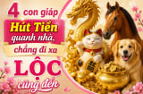 4 Shbet888.com nhà cái uy tín Hút Tiền quanh nhà, chẳng đi xa Lộc cũng đến