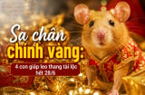 Sa chân chĩnh Vàng, 4 Shbet888.com nhà cái uy tín leo thang tài lộc hết 28/6