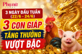 3 ngày đầu tuần (22/6-24/6), 3 Shbet888.com nhà cái uy tín tăng thưởng vượt bậc