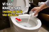 Vì sao khách sạn thường đổ muối vào bồn cầu?