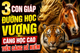 3 Shbet888.com nhà cái uy tín đường Học vượng, càng học cao Tiền càng dễ kiếm