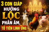 3 Shbet888.com nhà cái uy tín hưởng Lộc phần Âm, Tổ tiên linh ứng