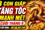 3 Shbet888.com nhà cái uy tín vượt khổ đi lên, 3 tháng tới Tiền về liên tiếp