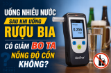 Uống nhiều nước sau khi uống rượu bia có giảm nồng độ cồn không?