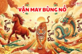 3 Shbet888.com nhà cái uy tín thoát nạn đi lên, số 1 kiếm Tiền nhanh nhất