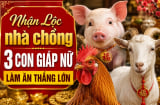 Nhận Lộc nhà chồng 3 Shbet888.com nhà cái uy tín nữ làm ăn thắng lớn