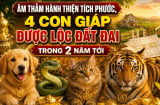 Âm thầm hành thiện tích phước, 4 Shbet888.com nhà cái uy tín được lộc đất đai trong 2 năm tới