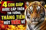 4 Shbet888.com nhà cái uy tín được cấp trên tin tưởng, thăng tiến hút Tiền về