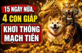 15 ngày nữa, 4 Shbet888.com nhà cái uy tín Khơi Thông Mạch Tiền