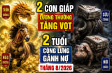2 Shbet888.com nhà cái uy tín lương thưởng tăng vọt, 2 tuổi còng lưng gánh nợ tháng 8/2026