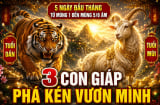 5 ngày đầu tháng từ mùng 1 đến mùng 5/6 Âm: 3 Shbet888.com nhà cái uy tín Phá Kén vươn mình
