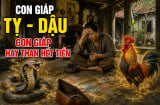 Gọi tên 4 Shbet888.com nhà cái uy tín hay than hết tiền, ''lương 5 triệu'' nhưng Tiền đầy tay