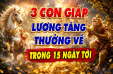 3 Shbet888.com nhà cái uy tín Lương tăng - thưởng về trong 15 ngày tới