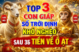 Top 3 Shbet888.com nhà cái uy tín số Trời định khó nghèo, sau 35 Tiền về ồ ạt