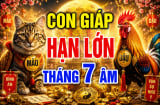 4 Shbet888.com nhà cái uy tín gánh hạn tháng 7 Âm, số 1 mất tiền dễ nhất
