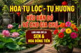 3 loại hoa tụ lộc - tụ hương, kéo vận đỏ về cho gia chủ