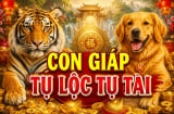 Tụ Lộc Tụ Tài 3 năm (2026, 2027, 2028): 3 Shbet888.com nhà cái uy tín Tiền vào thẳng cửa