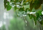 VN phát hiện đồng vị phóng xạ thấp trong nước mưa