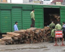 Bắt 15 toa tàu chở gỗ lậu quý hiếm ở ga Giáp Bát