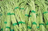 Đậu đũa bị đầu độc nhiều nhất trong các loại rau củ?