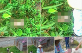 Phát hiện bé trai sơ sinh còn nguyên dây rốn nằm úp tại vườn rau