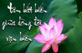 Cảnh giới cao nhất của nhân sinh chính là ở độ tĩnh của tâm