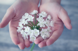 Những nét tướng 'XẤU ƠI LÀ XẤU' ở phụ nữ nhưng đem tới tài vận VƯỢNG PHÁT không ngờ