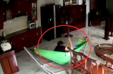 Lại thêm một vụ người giúp việc bạo hành nghiêm trọng bé 4 tháng tuổi
