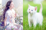 Đúng 6 ngày nữa thôi, 3 con giáp này cứ ra đường là CHÂN DẪM VÀNG - TAY BƯNG TIỀN sướng không ai bằng