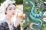Giữa tháng 12/2018, 3 con giáp này VẬN ĐỎ PHỪNG PHỪNG, mở ví ra là tiền ùa đến khiến thiên hạ phát hờn