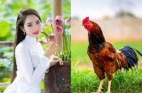 4 con giáp được DỰA HƠI QUÝ NHÂN, giàu lên điên đảo vào cuối tháng 12/2018 khiến thiên hạ ghen tị