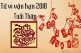 Tử vi tuổi Thân năm 2018