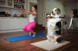 Hình ảnh chủ cùng thú cưng tập yoga siêu dễ thương