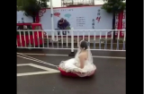 Màn 'rước nàng về dinh' của soái ca bá đạo nhất năm