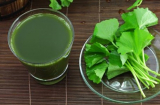 Top thực phẩm sau khi sinh ăn vào sẽ mát sữa