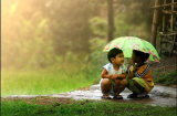Phật dạy về 4 hạng người nên trân trọng để cuộc đời “luôn trải thảm hồng”