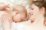 Mẹ ăn món này sữa sẽ về dạt dào