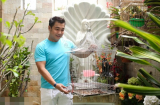 Lý Hùng 'tậu' biệt thự triệu đô, sang chảnh như khách sạn 5 sao để chuẩn bị cưới vợ?
