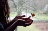 Phật nói: Trên đời điều gì là tồn tại mãi mãi, điều gì là 'tan thành mây khói' theo thời gian