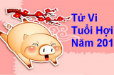 Tuổi Hợi năm Đinh Dậu 2017: Tất tần tật những điều cần lưu ý