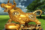 Tuổi Tân Sửu năm Đinh Dậu 2017: Tất tần tật những điều cần lưu ý