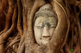Vì sao làm mãi không giàu, vận mệnh mãi không sáng sủa, chính là do bạn mắc những lỗi này!