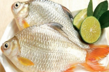 Mẹo giữ cá tươi lâu và luôn thơm ngọt như mới