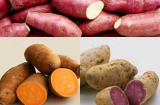 Chuyên gia sức khỏe chỉ đích danh thực phẩm ngừa ung thư vô cùng  hiệu quả ở Việt Nam có đầy