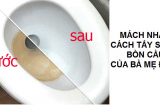 Chỉ cách tẩy sạch bồn cầu nhanh nhất chỉ sau 5 phút mà không tốn tiền của