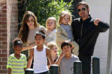 Chuyển nhà về gần Brad Pitt, Angelina Jolie có quay lại với chồng?
