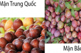 Cách chọn mận ngọt, ngon lại không tẩm hóa chất đơn giản nhất