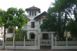 Ngồi hưởng tài lộc, may mắn kéo đến tiền tiêu không hết khi trồng cây này trong nhà