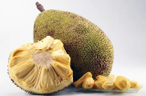 Ăn thực phẩm này vào cả đời chàng luôn sung mãn dù đã già tới cỡ nào, 'hễ yêu là lên đỉnh'
