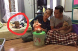 Dân mạng cười nghiêng ngả trước cảnh bố mẹ 'bơ' con trai để chuyên tâm tổ chức sinh nhật cho mèo cưng